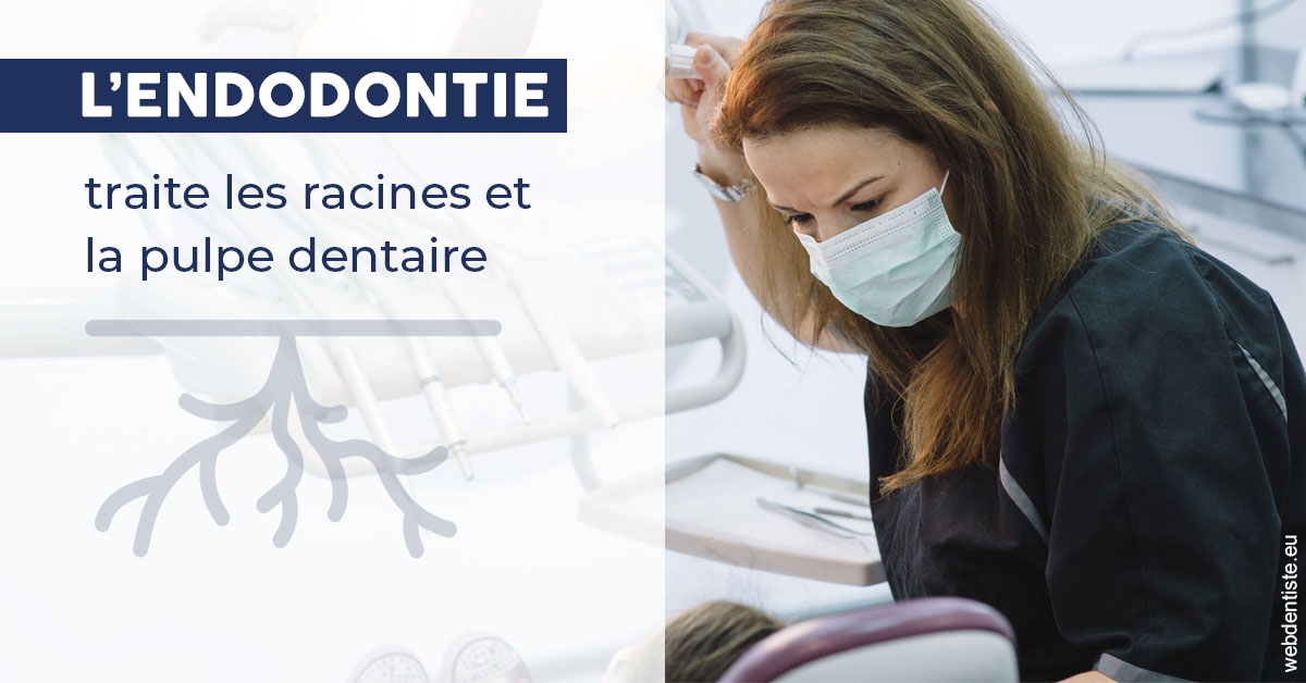 https://dr-santoni-sylvain.chirurgiens-dentistes.fr/L'endodontie 1
