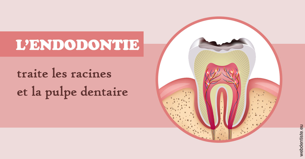 https://dr-santoni-sylvain.chirurgiens-dentistes.fr/L'endodontie 2