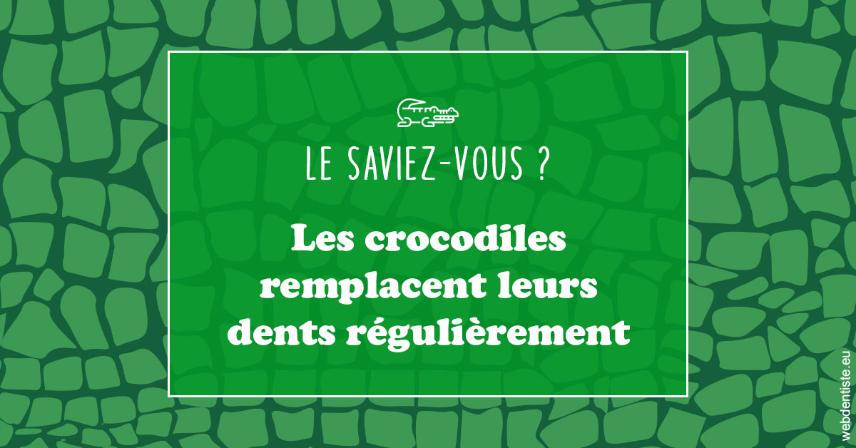 https://dr-santoni-sylvain.chirurgiens-dentistes.fr/Crocodiles 1